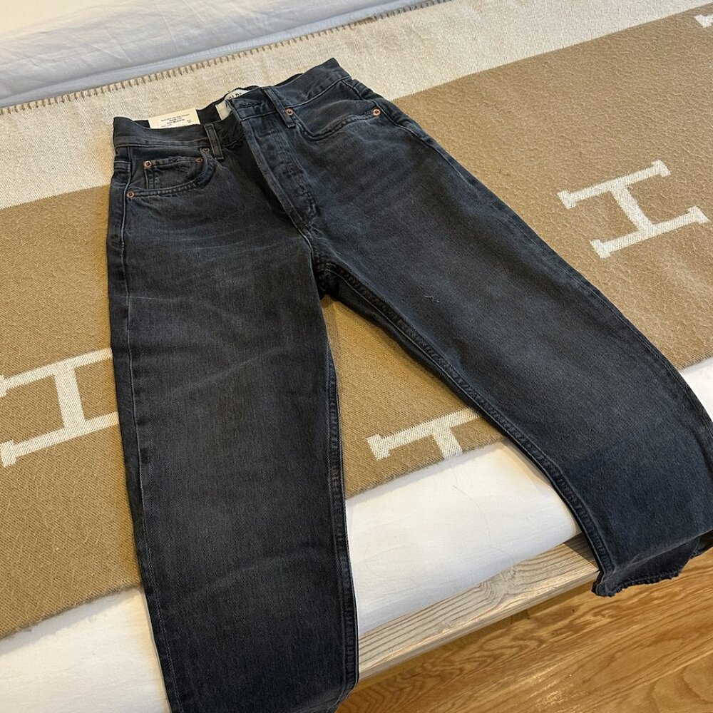 AGOLDE RILEY CROP HIGH RISE STRAIGHT JEAN
